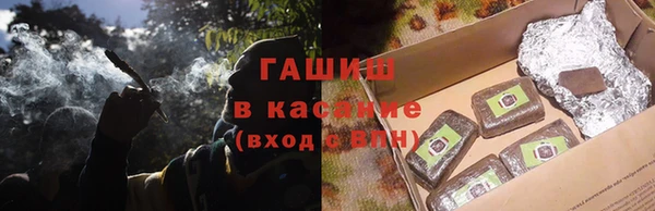 шишки Абаза