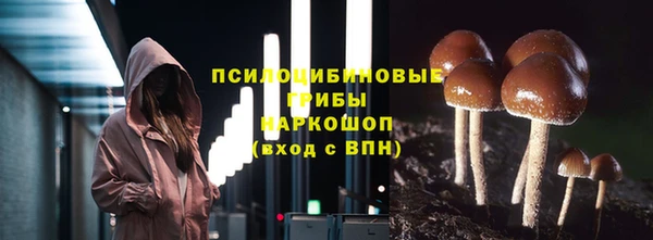 шишки Абаза