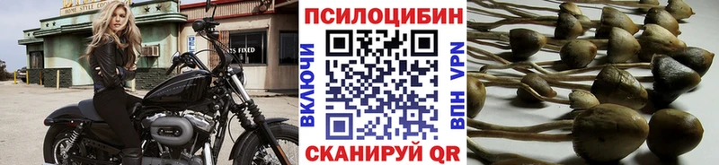 закладка  кракен зеркало  Псилоцибиновые грибы Psilocybine cubensis  Чкаловск 