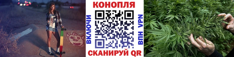 где найти наркотики  Чкаловск  Конопля семена 